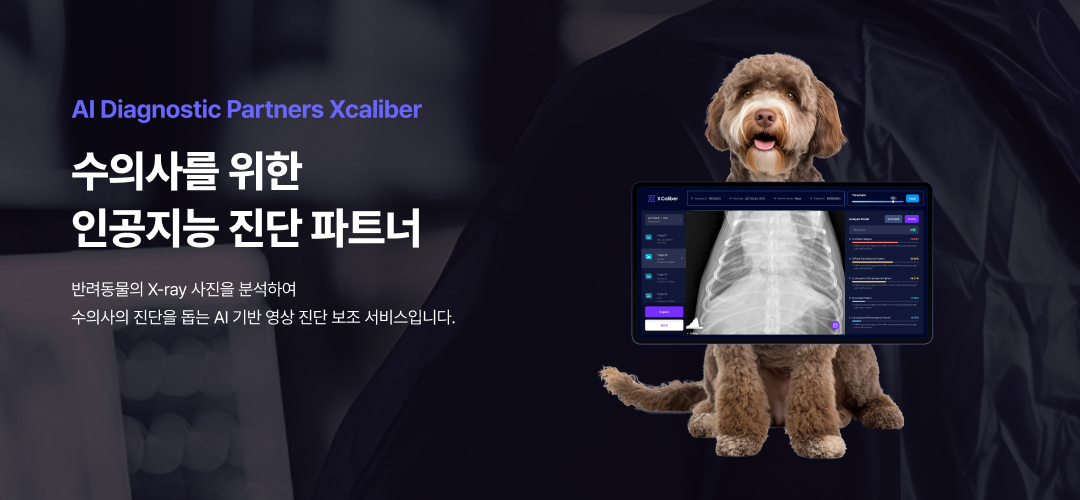 X Caliber